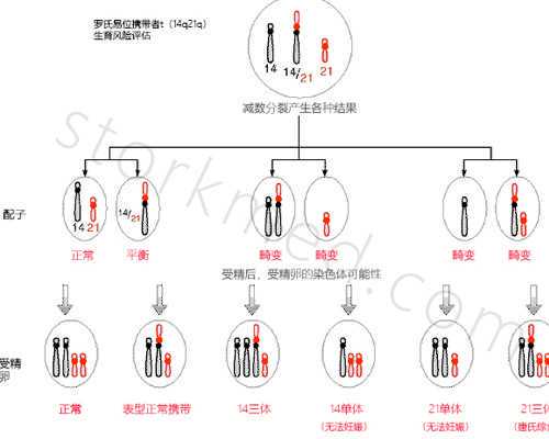 云南发钱了，人们还会继续生么？,云南试管婴儿需要花费多少钱？