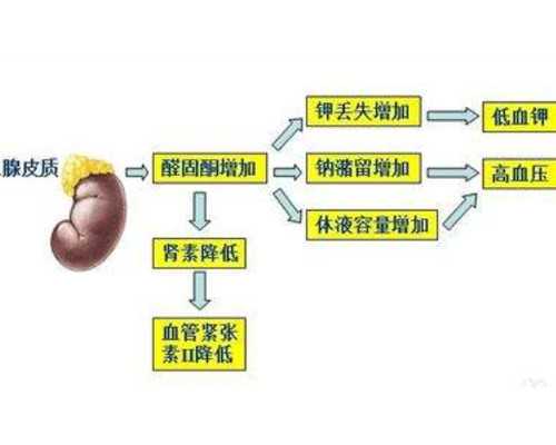 昆明医院借卵自怀,2026北京公立医院供卵价格三代试管供卵费用清晰划分流程