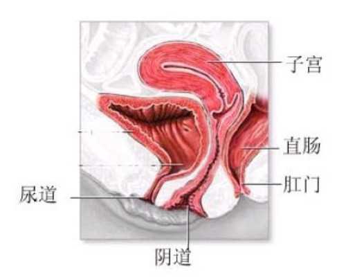昆明代孕网站大全,贵州安顺可没有能做试管婴儿的医院？试管婴儿花费多少钱
